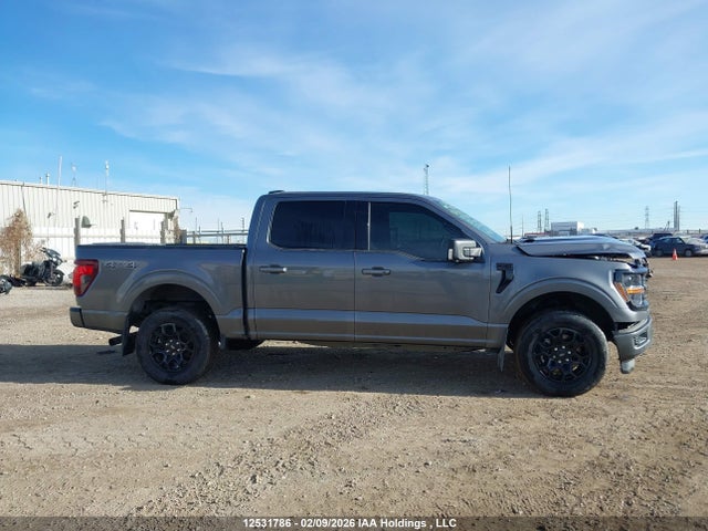 Продажа на аукционе авто 2024 Ford F150 Xlt, vin: 1FTEW3LP6RKE36500, номер лота: 12531786