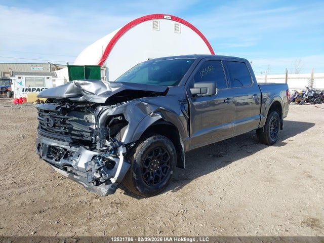 Продажа на аукционе авто 2024 Ford F150 Xlt, vin: 1FTEW3LP6RKE36500, номер лота: 12531786