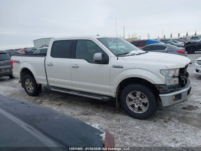 12531802 :رقم المزاد ، 1FTFW1EF9FFB85392 vin ، 2015 Ford F150 Supercrew مزاد بيع