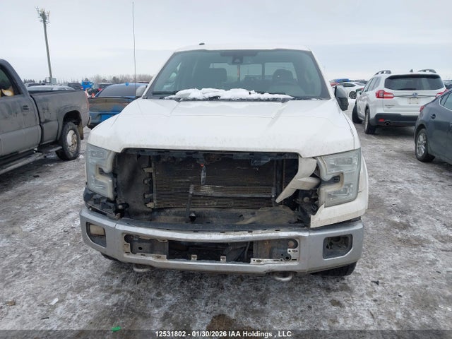 12531802 :رقم المزاد ، 1FTFW1EF9FFB85392 vin ، 2015 Ford F150 Supercrew مزاد بيع