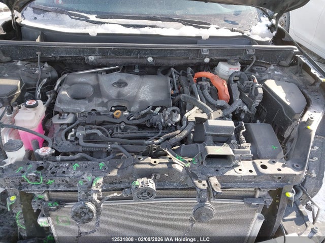 2024 Toyota Rav4 Le მანქანა იყიდება აუქციონზე, vin: 2T3BWRFV5RW221875, აუქციონის ნომერი: 12531808