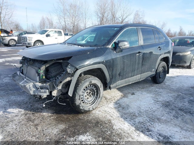 2024 Toyota Rav4 Le მანქანა იყიდება აუქციონზე, vin: 2T3BWRFV5RW221875, აუქციონის ნომერი: 12531808