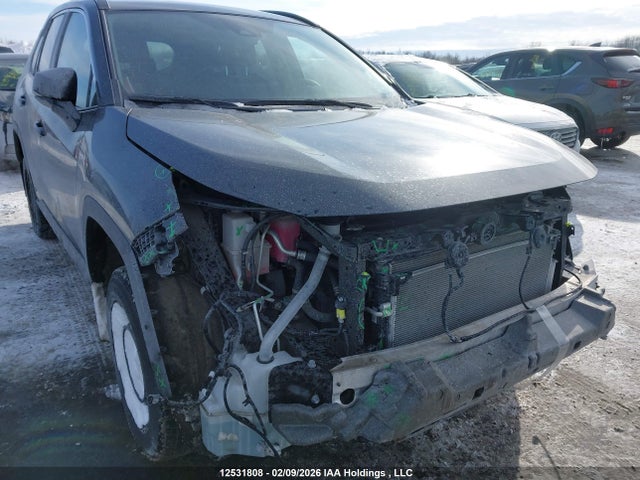 2024 Toyota Rav4 Le მანქანა იყიდება აუქციონზე, vin: 2T3BWRFV5RW221875, აუქციონის ნომერი: 12531808