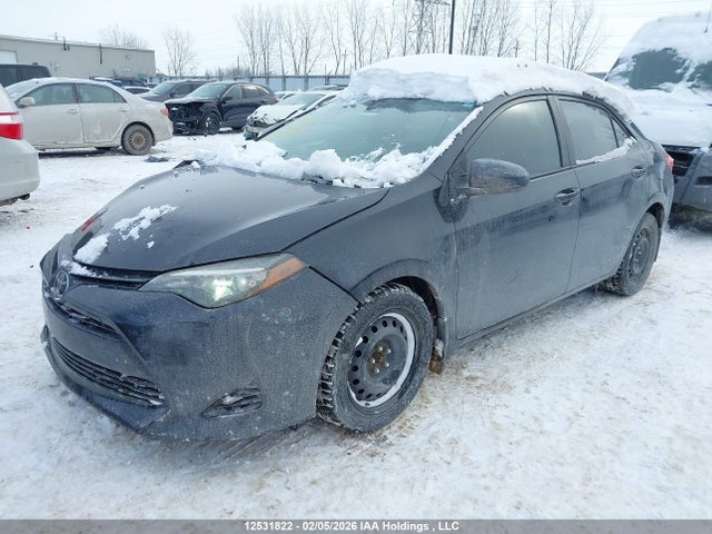 2T1BURHE5KC125456 Toyota COROLLA LE