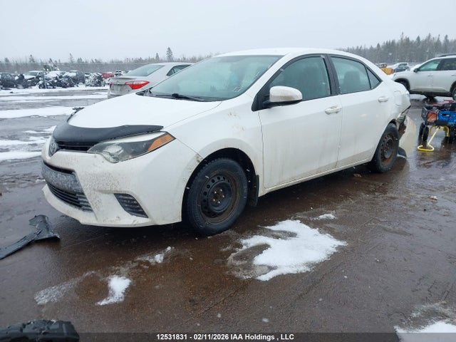 12531831 :رقم المزاد ، 2T1BURHE0GC578357 vin ، 2016 Toyota Corolla Le مزاد بيع