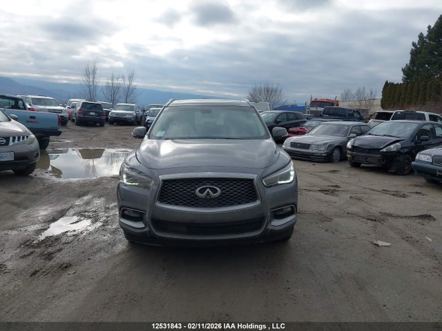 5N1DL0MM2HC556502 Infiniti QX60