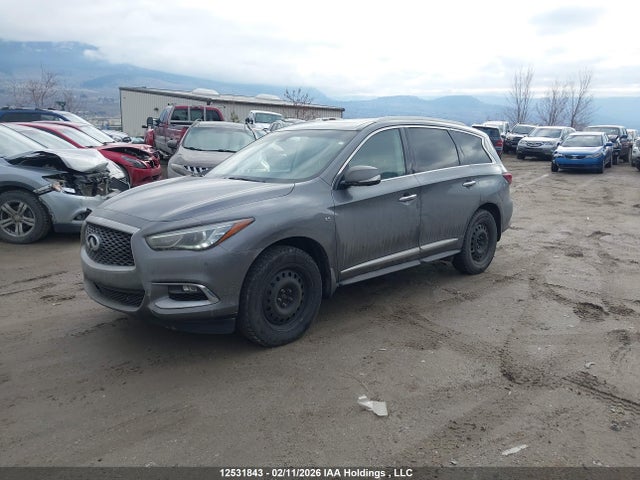 5N1DL0MM2HC556502 Infiniti QX60