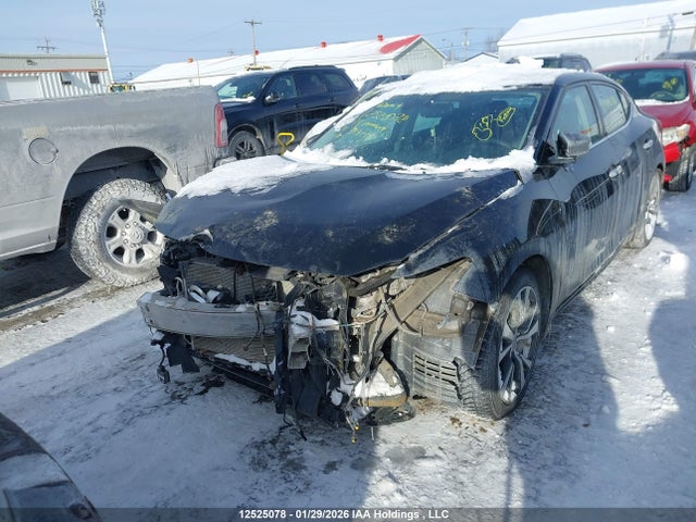 1N4AA6AP2JC393215 Nissan Maxima Platinum/sl/sr/sv
