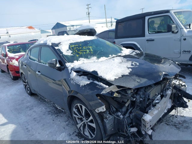 1N4AA6AP2JC393215 Nissan Maxima Platinum/sl/sr/sv