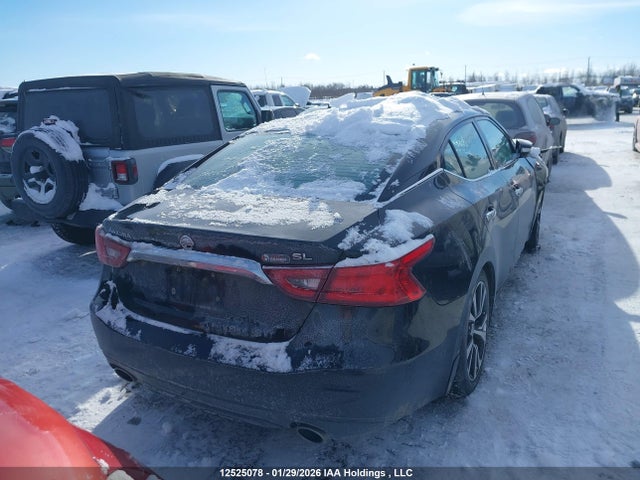 1N4AA6AP2JC393215 Nissan Maxima Platinum/sl/sr/sv