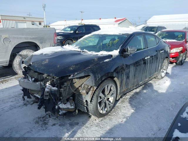 1N4AA6AP2JC393215 Nissan Maxima Platinum/sl/sr/sv