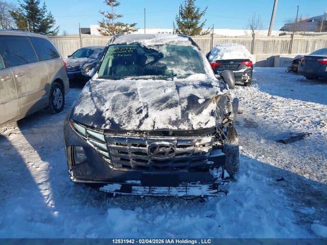 Продаж на аукціоні авто 2023 Hyundai Tucson Preferred Awd With Trend Package, vin: KM8JCCAE5PU202239, номер лоту: 12531942