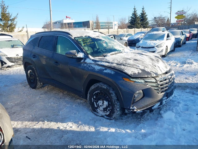 Продаж на аукціоні авто 2023 Hyundai Tucson Preferred Awd With Trend Package, vin: KM8JCCAE5PU202239, номер лоту: 12531942