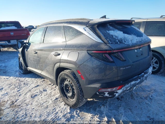 Продаж на аукціоні авто 2023 Hyundai Tucson Preferred Awd With Trend Package, vin: KM8JCCAE5PU202239, номер лоту: 12531942