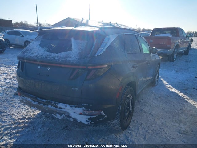 Продаж на аукціоні авто 2023 Hyundai Tucson Preferred Awd With Trend Package, vin: KM8JCCAE5PU202239, номер лоту: 12531942