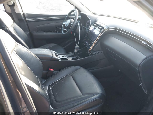 Продаж на аукціоні авто 2023 Hyundai Tucson Preferred Awd With Trend Package, vin: KM8JCCAE5PU202239, номер лоту: 12531942