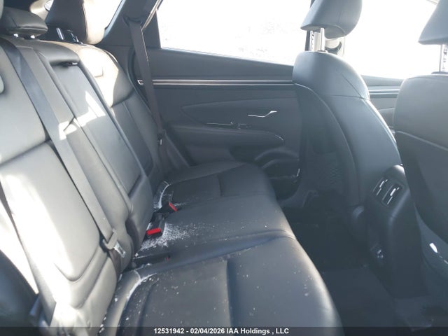 Продаж на аукціоні авто 2023 Hyundai Tucson Preferred Awd With Trend Package, vin: KM8JCCAE5PU202239, номер лоту: 12531942