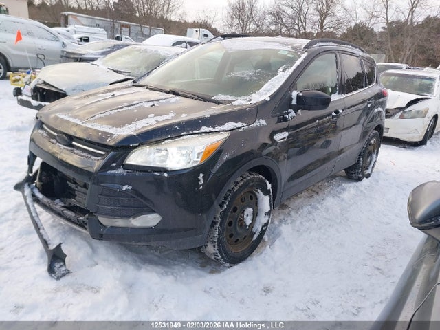 1FMCU0GX1FUA29508 Ford ESCAPE SE