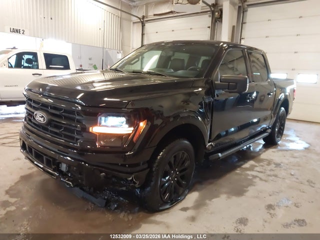 Продаж на аукціоні авто 2025 Ford F150 Xlt, vin: 1FTEW3LP6SKE42609, номер лоту: 12532009