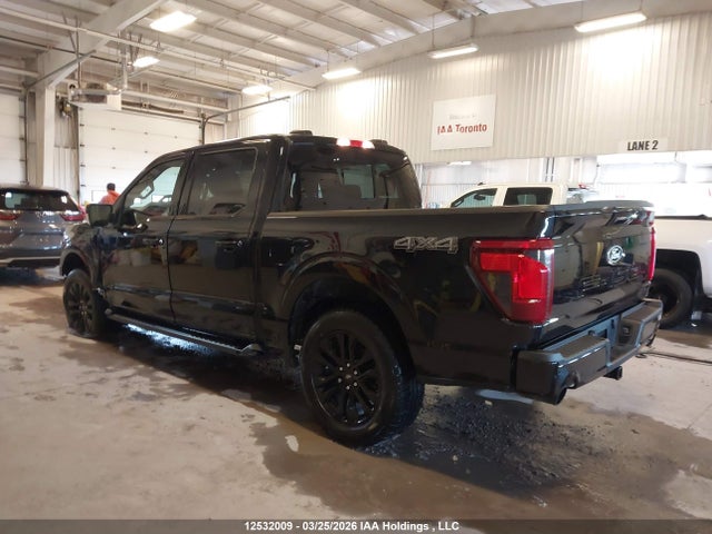 Продаж на аукціоні авто 2025 Ford F150 Xlt, vin: 1FTEW3LP6SKE42609, номер лоту: 12532009