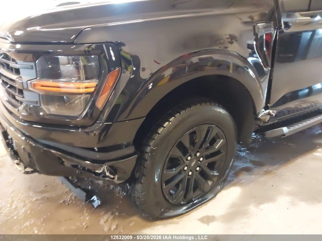 Продаж на аукціоні авто 2025 Ford F150 Xlt, vin: 1FTEW3LP6SKE42609, номер лоту: 12532009
