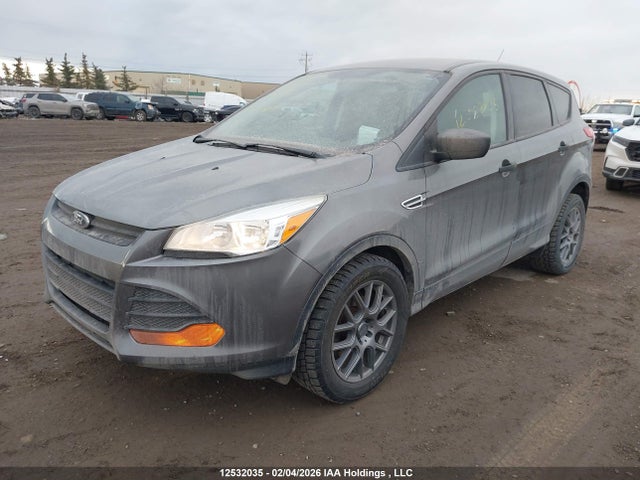 2014 Ford Escape S მანქანა იყიდება აუქციონზე, vin: 1FMCU0F73EUD39238, აუქციონის ნომერი: 12532035