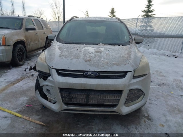 Продаж на аукціоні авто 2014 Ford Escape Se, vin: 1FMCU9G92EUD34519, номер лоту: 12532058