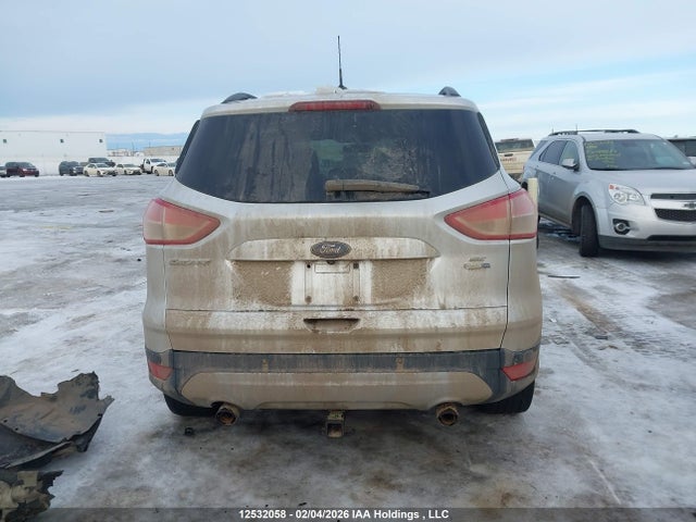 Продаж на аукціоні авто 2014 Ford Escape Se, vin: 1FMCU9G92EUD34519, номер лоту: 12532058