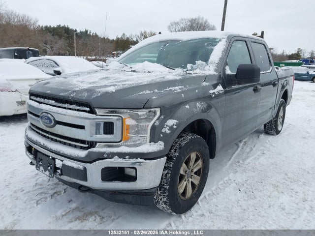 12532151 :رقم المزاد ، 1FTEW1EB8KFB38342 vin ، 2019 Ford F-150 Xlt مزاد بيع