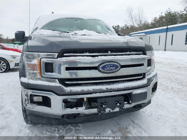 12532151 :رقم المزاد ، 1FTEW1EB8KFB38342 vin ، 2019 Ford F-150 Xlt مزاد بيع