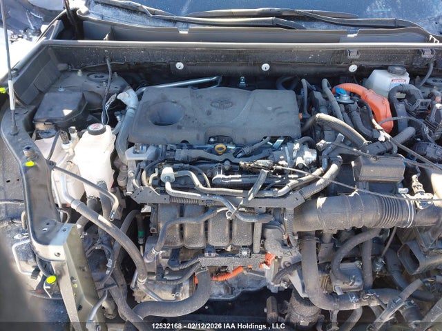12532168 :رقم المزاد ، 2T3BWRFV5SW284898 vin ، 2025 Toyota Rav4 Hybrid مزاد بيع