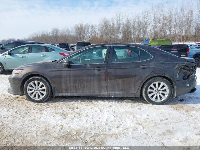 4T1B11HK7JU032239 Toyota CAMRY LE/XLE
