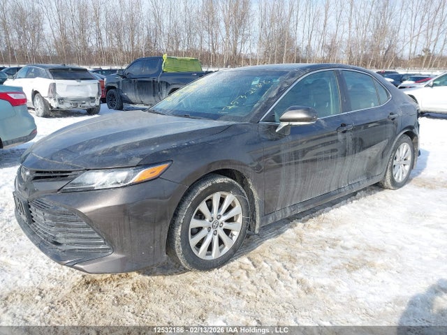 4T1B11HK7JU032239 Toyota CAMRY LE/XLE