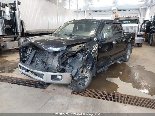 12532287 :رقم المزاد ، 1FTEW1E87FKE93830 vin ، 2015 Ford F-150 Xlt مزاد بيع