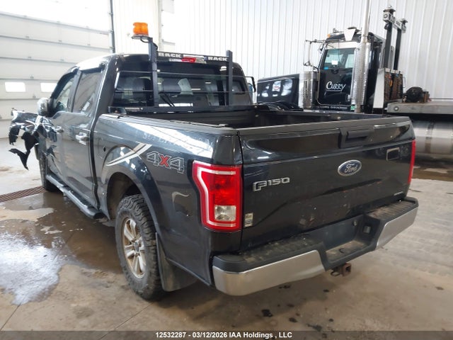 12532287 :رقم المزاد ، 1FTEW1E87FKE93830 vin ، 2015 Ford F-150 Xlt مزاد بيع