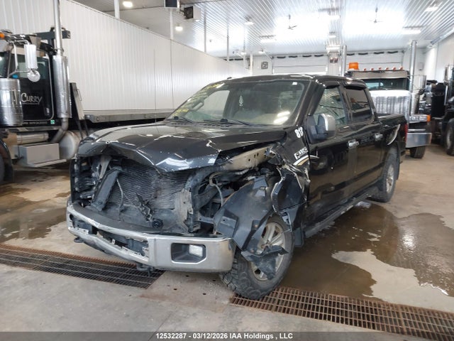 12532287 :رقم المزاد ، 1FTEW1E87FKE93830 vin ، 2015 Ford F-150 Xlt مزاد بيع