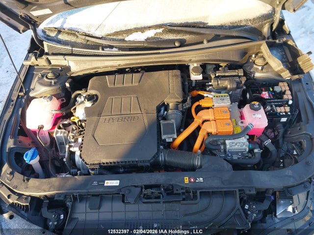 KMHLN4DJ7RU111896 Hyundai Elantra Limited