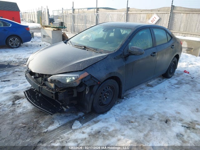 2T1BURHE2JC063125 Toyota COROLLA LE