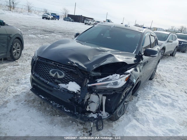 3PCAJ5M39KF142869 Infiniti Qx50 Autograph/essential/luxe/proactive/sensory