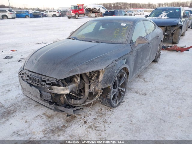 2024 Audi S5 Sportback მანქანა იყიდება აუქციონზე, vin: WAUA4CF50RA085245, აუქციონის ნომერი: 12532466