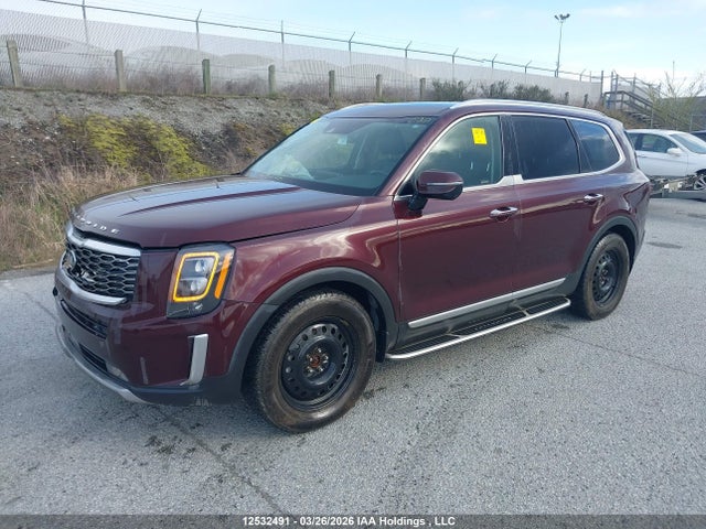 5XYP5DHC1LG006278 KIA Telluride Sx
