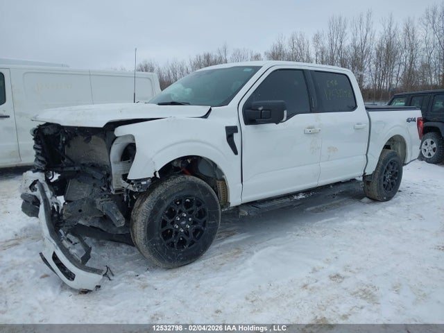 Aukcja sprzedaży 2024 Ford F-150, vin: 1FTEW3LP6RKE56519, numer aukcji: 12532798