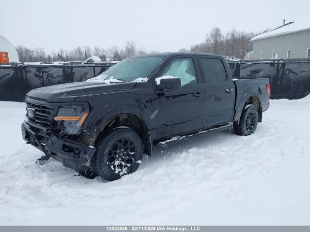 12532846 :رقم المزاد ، 1FTEW3LP7SKE98607 vin ، 2025 Ford F-150 Xlt مزاد بيع