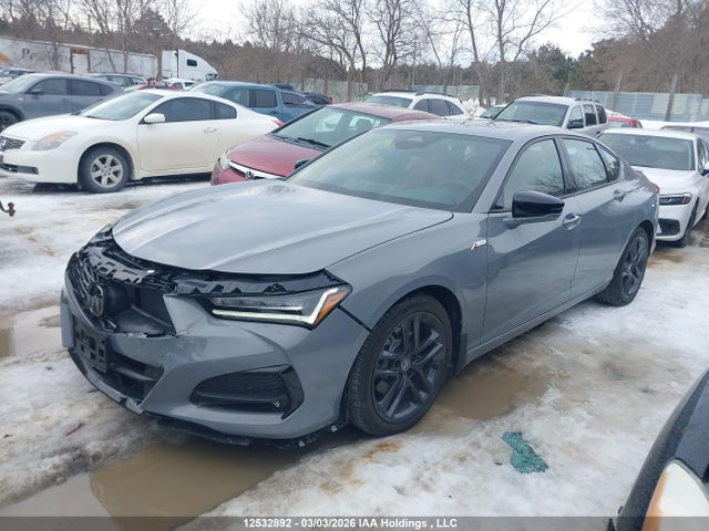 2025 Acura Tlx A-spec მანქანა იყიდება აუქციონზე, vin: 19UUB6F59SA800411, აუქციონის ნომერი: 12532892