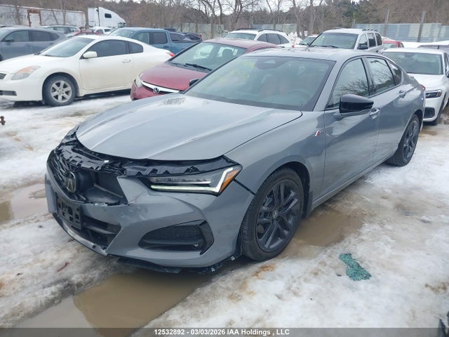 2025 Acura Tlx A-spec მანქანა იყიდება აუქციონზე, vin: 19UUB6F59SA800411, აუქციონის ნომერი: 12532892