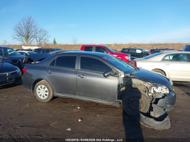 12532970 :رقم المزاد ، 2T1BU4EE5AC218371 vin ، 2010 Toyota Corolla S/le/xle مزاد بيع