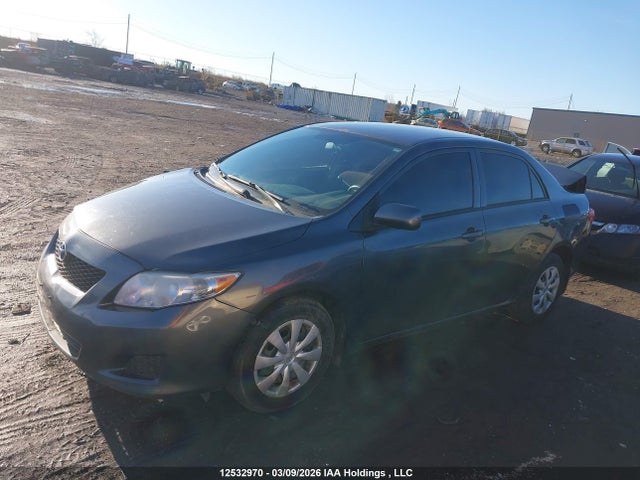12532970 :رقم المزاد ، 2T1BU4EE5AC218371 vin ، 2010 Toyota Corolla S/le/xle مزاد بيع