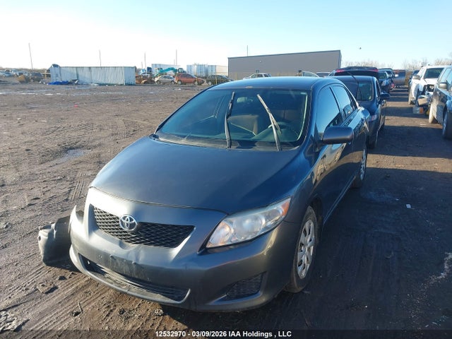 12532970 :رقم المزاد ، 2T1BU4EE5AC218371 vin ، 2010 Toyota Corolla S/le/xle مزاد بيع