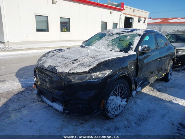 2025 Ford Mustang Mach-e Premium მანქანა იყიდება აუქციონზე, vin: 3FMTK3SU8SMA20758, აუქციონის ნომერი: 12533013