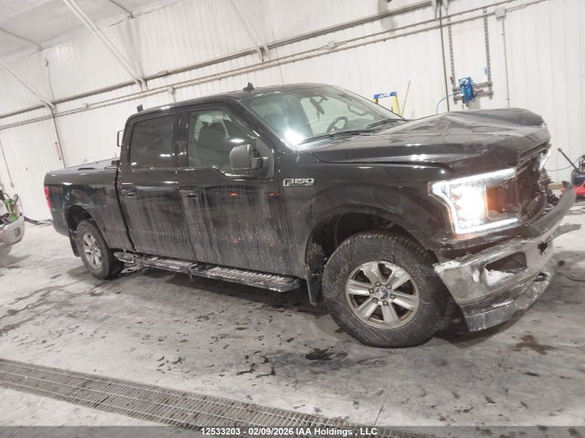 Продаж на аукціоні авто 2019 Ford F150 Supercrew, vin: 1FTFW1E55KFD03102, номер лоту: 12533203